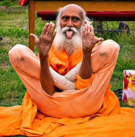 Guru Swami Yogananda Ji image 4