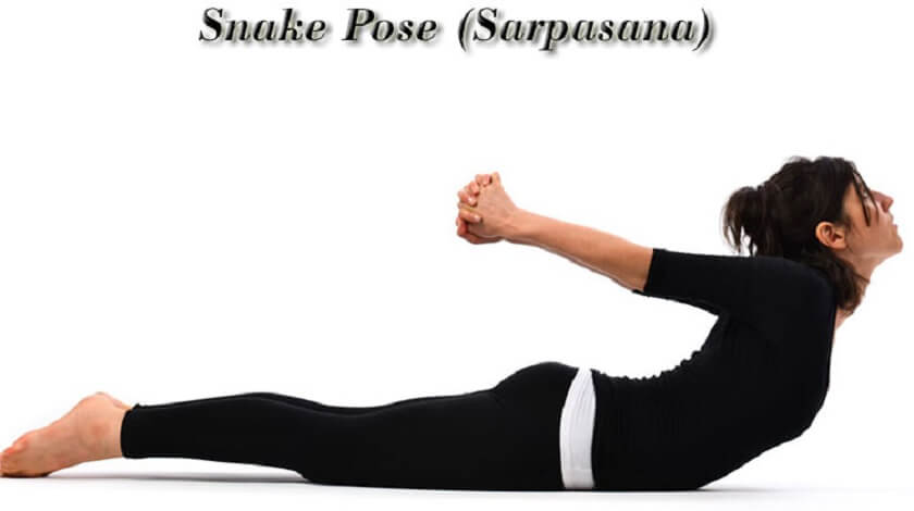sarpasana-snake-pose-benefits-adjustment-and-cautions