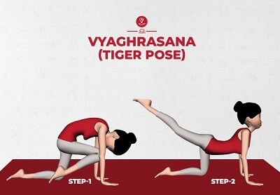 Vyaghrasana (Tiger Pose) Benefits, Adjustment & Cautions