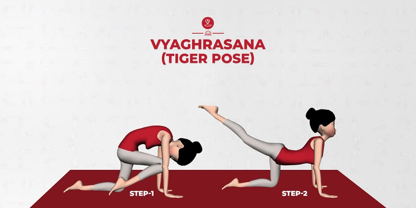 Vyaghrasana Tiger Pose Benefits, Adjustment & Cautions