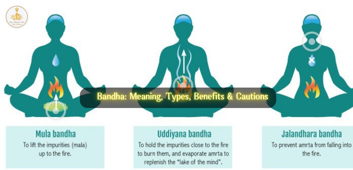 Bandha in Yoga