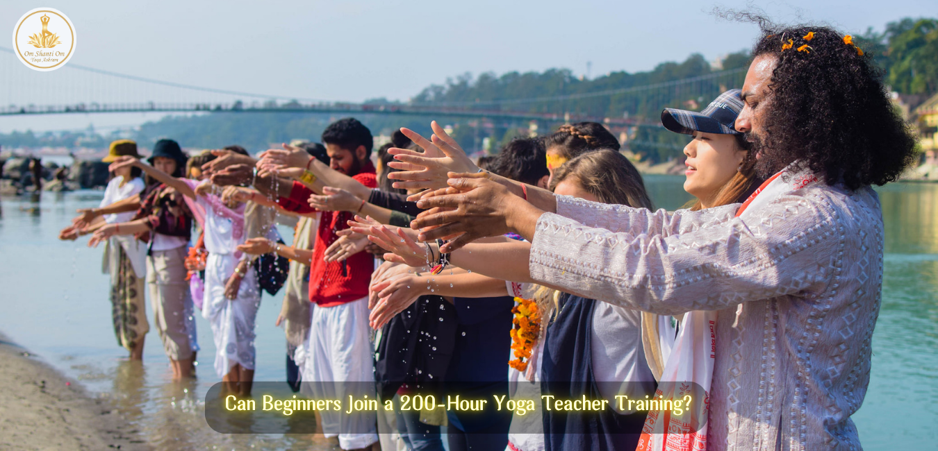 Can Beginners Join a 200 Hour Yoga Teacher Training? | Complete Guide