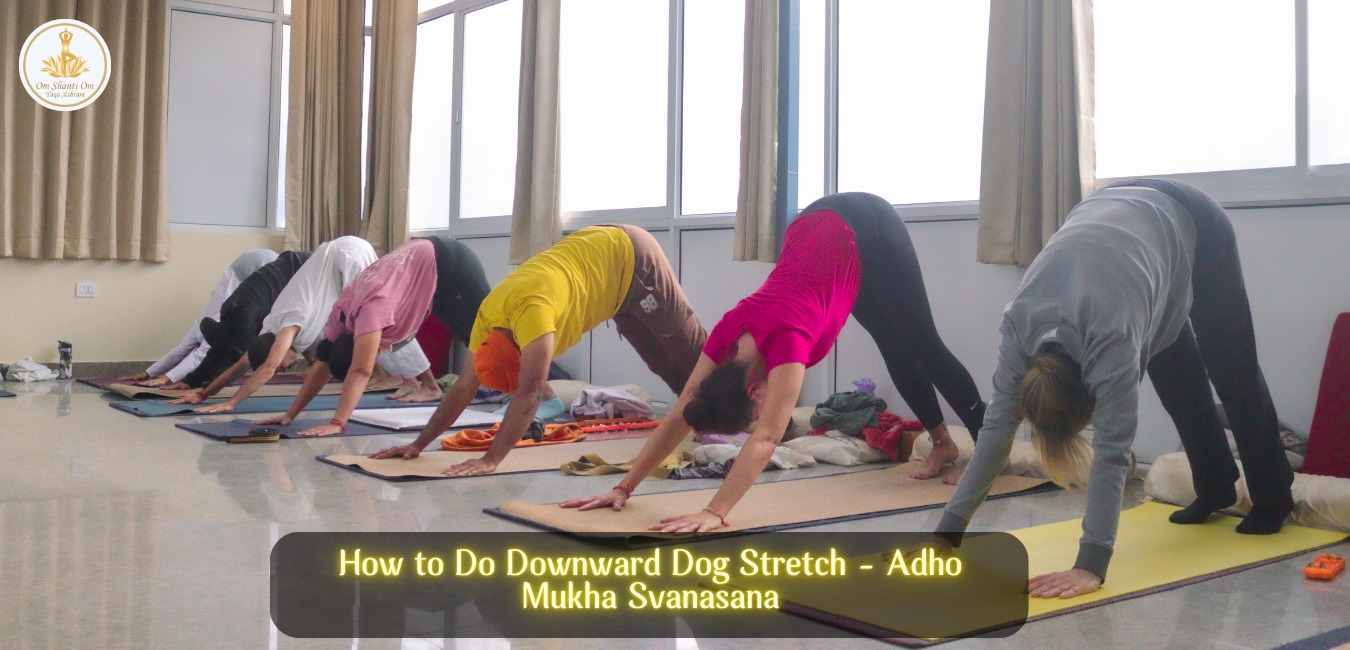 How to Do Downward Dog Stretch