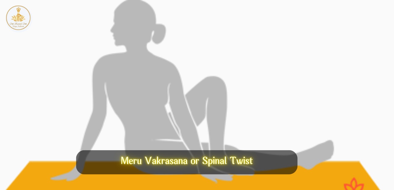 Meru Vakrasana or Spinal Twist