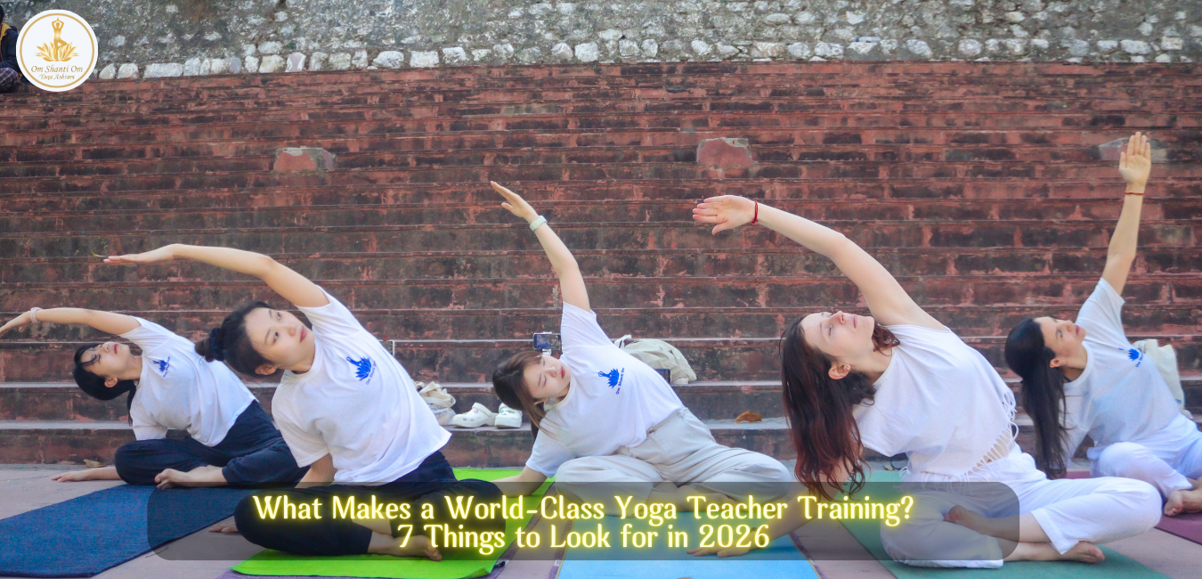World-Class Yoga Teacher Training: 7 Things to Look for in 2026
