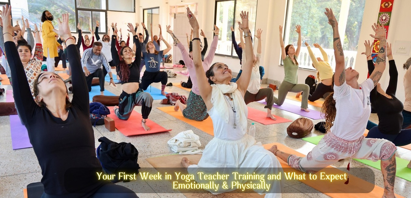Your First Week in Yoga Teacher Training